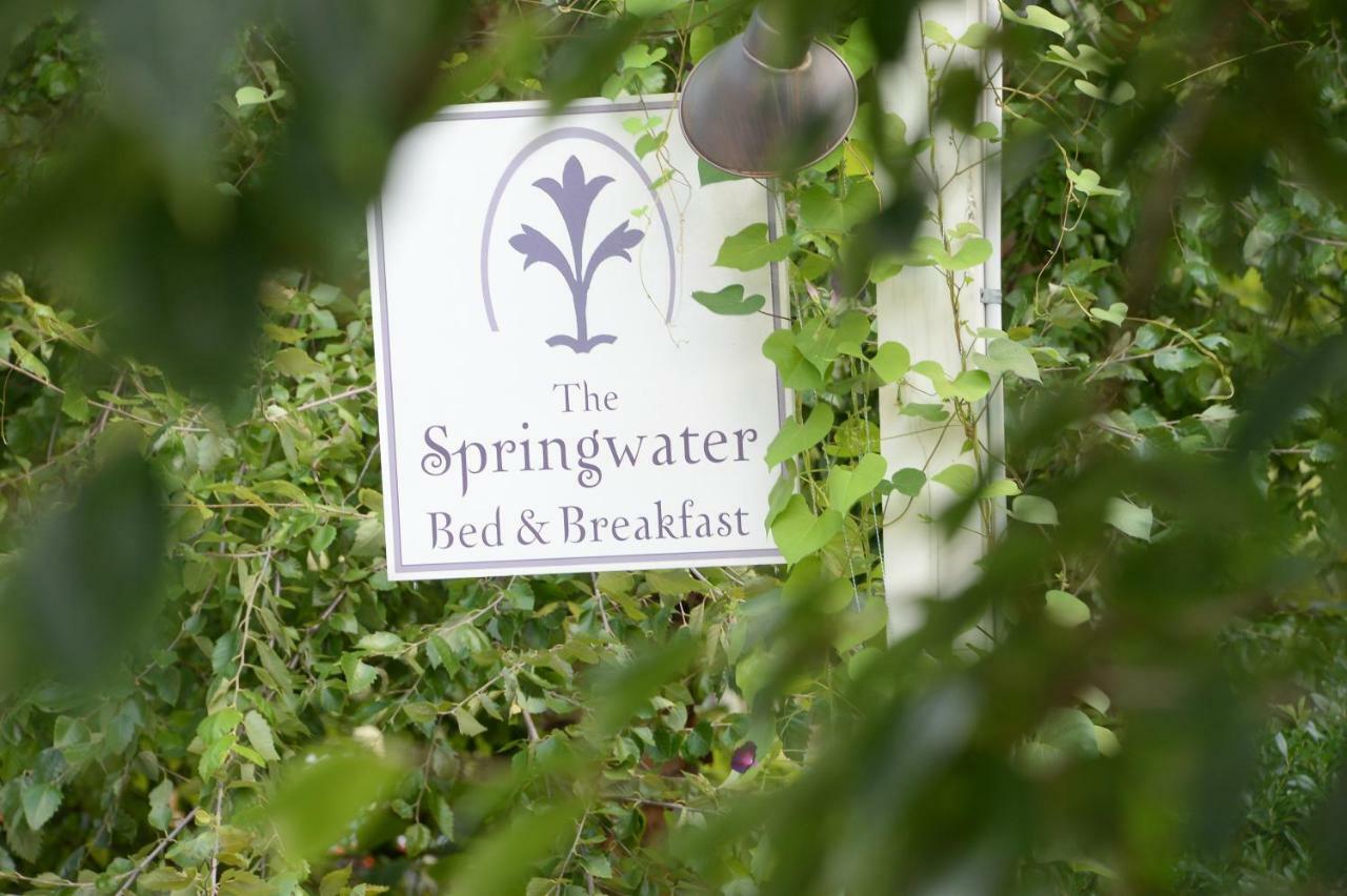 The Springwater Bed And Breakfast Saratoga Springs Bagian luar foto