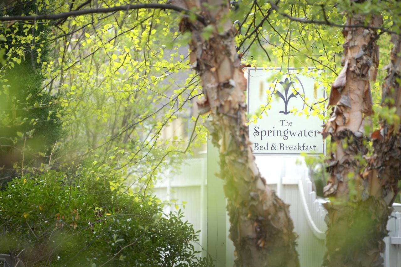 The Springwater Bed And Breakfast Saratoga Springs Bagian luar foto